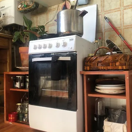 Artemisia Forest B&B Bee