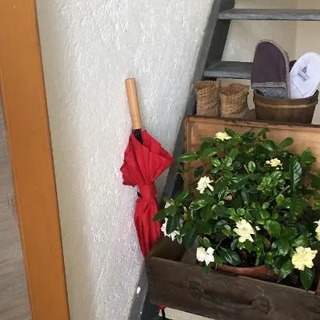 Bed & Breakfast Artemisia Forest *