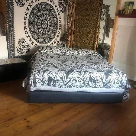 Bed & Breakfast Artemisia Forest *